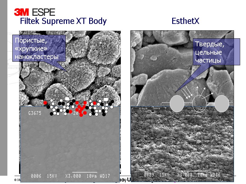 Courtesy of Dr. Jorge Perdigao, University of Minnesota Пористые, «хрупкие» нанокластеры Твердые, цельные частицы Courtesy of Dr. Jorge Perdigao, University of Minnesota Пористые, «хрупкие» нанокластеры Твердые, цельные частицы